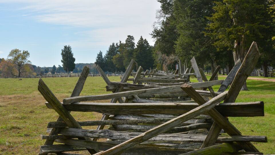 A field of wooden fence posts in a grassy area with trees in the background.