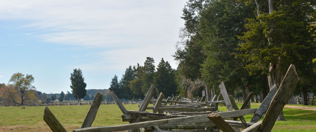 A field of wooden fence posts in a grassy area with trees in the background.