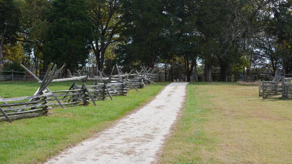 A dirt path flanked by wooden fences and trees.