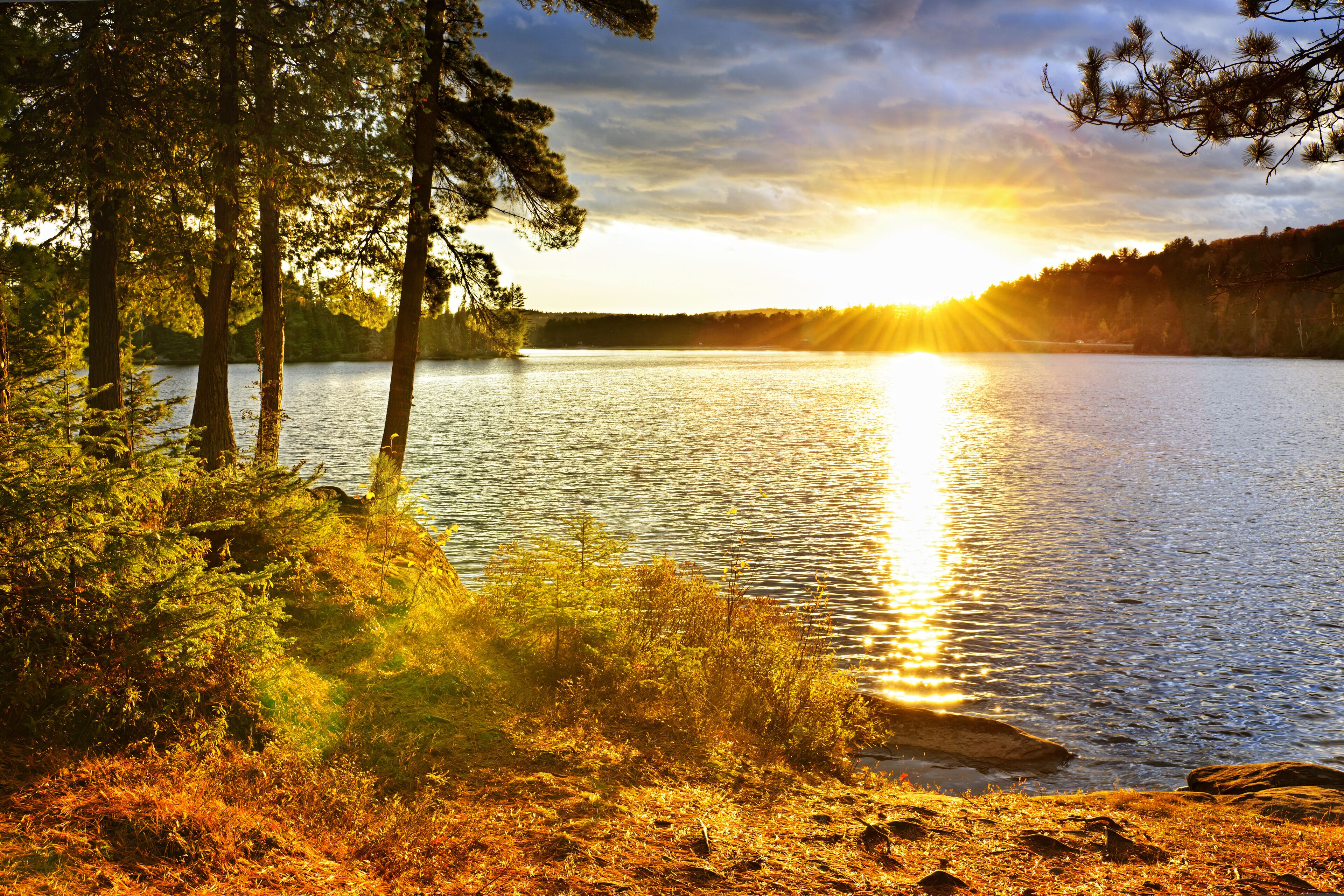 A lake with trees reflecting the sunset.