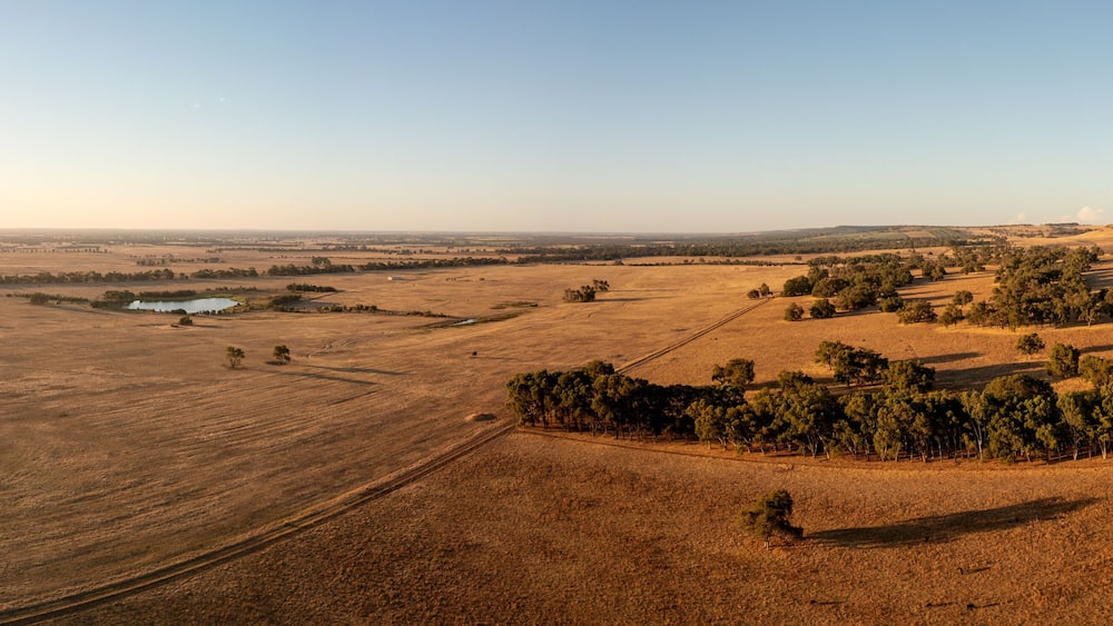 A vast agricultural landscape with fields, a small pond, and a cluster of trees.