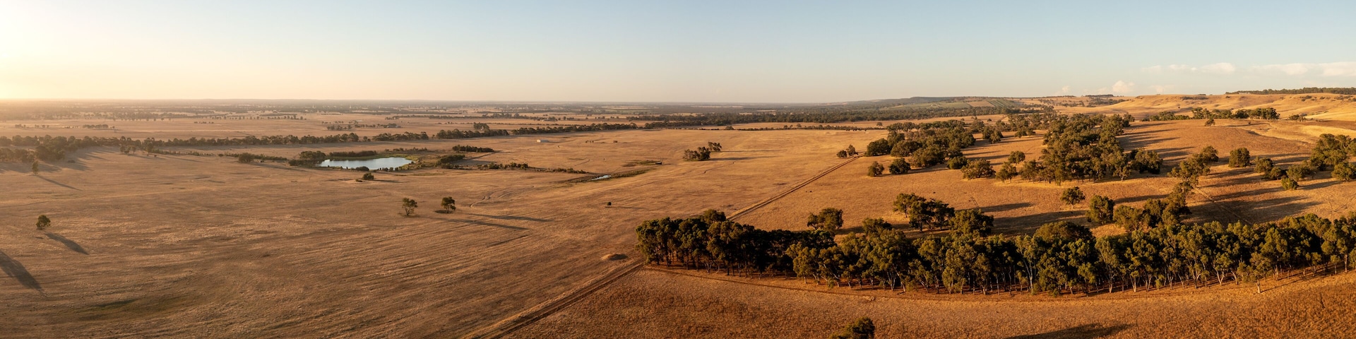 Aerial view over a Cattle Farmland in the Evening Sun, Gingin, Wheatbelt, Westaustralien, Australia