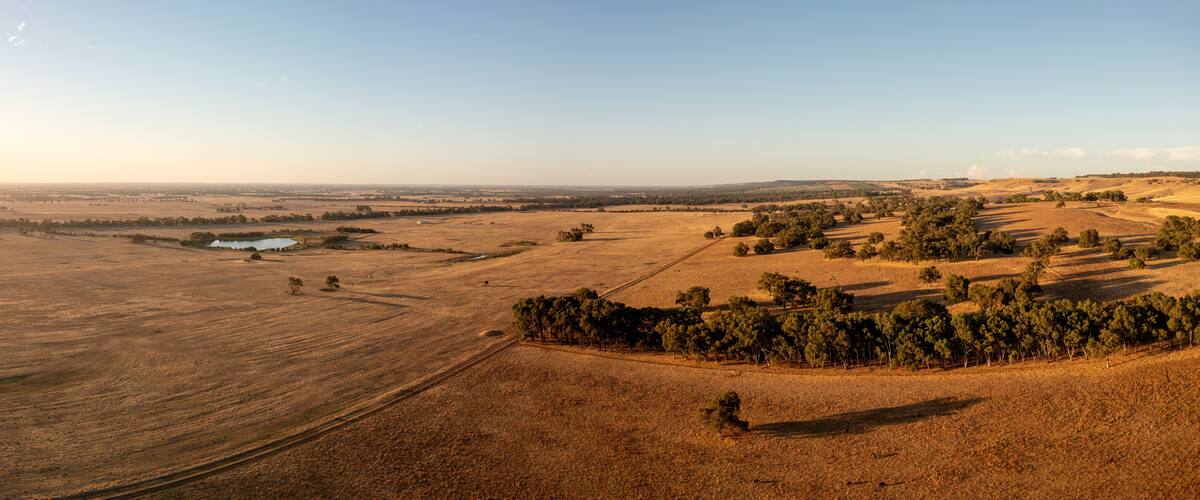 A vast agricultural landscape with fields, a small pond, and a cluster of trees.