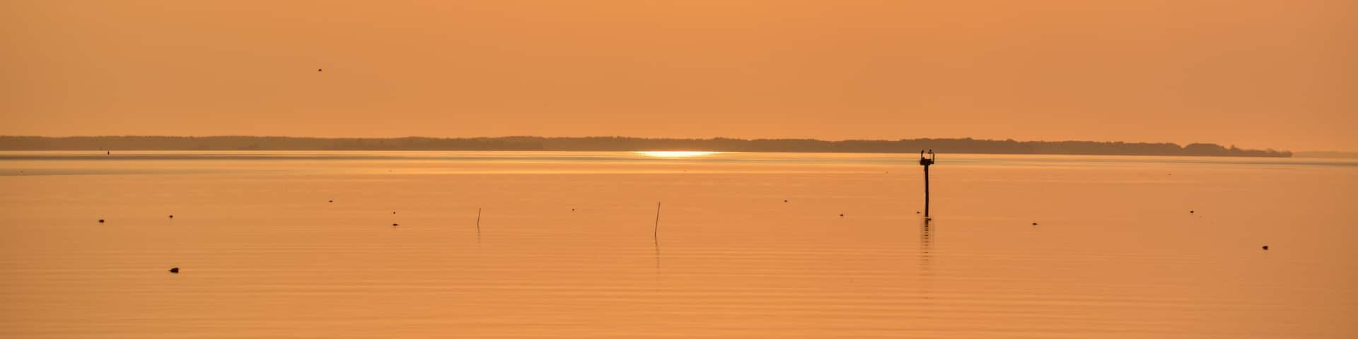 Sunrise over the Chesapeake Bay with crab pot buoys floating on the calm water surface