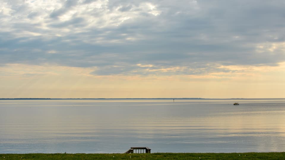 A calm body of water with a distant boat, a grassy foreground, and a cloudy sky.