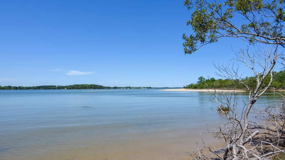 A calm lake with clear blue water, a sandy beach, and a tree in the foreground.