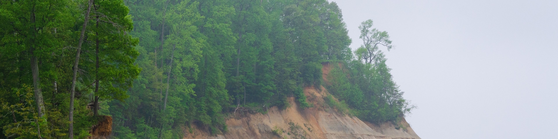 A coastal landscape with a prominent cliff, dense green forest, and a calm body of water.