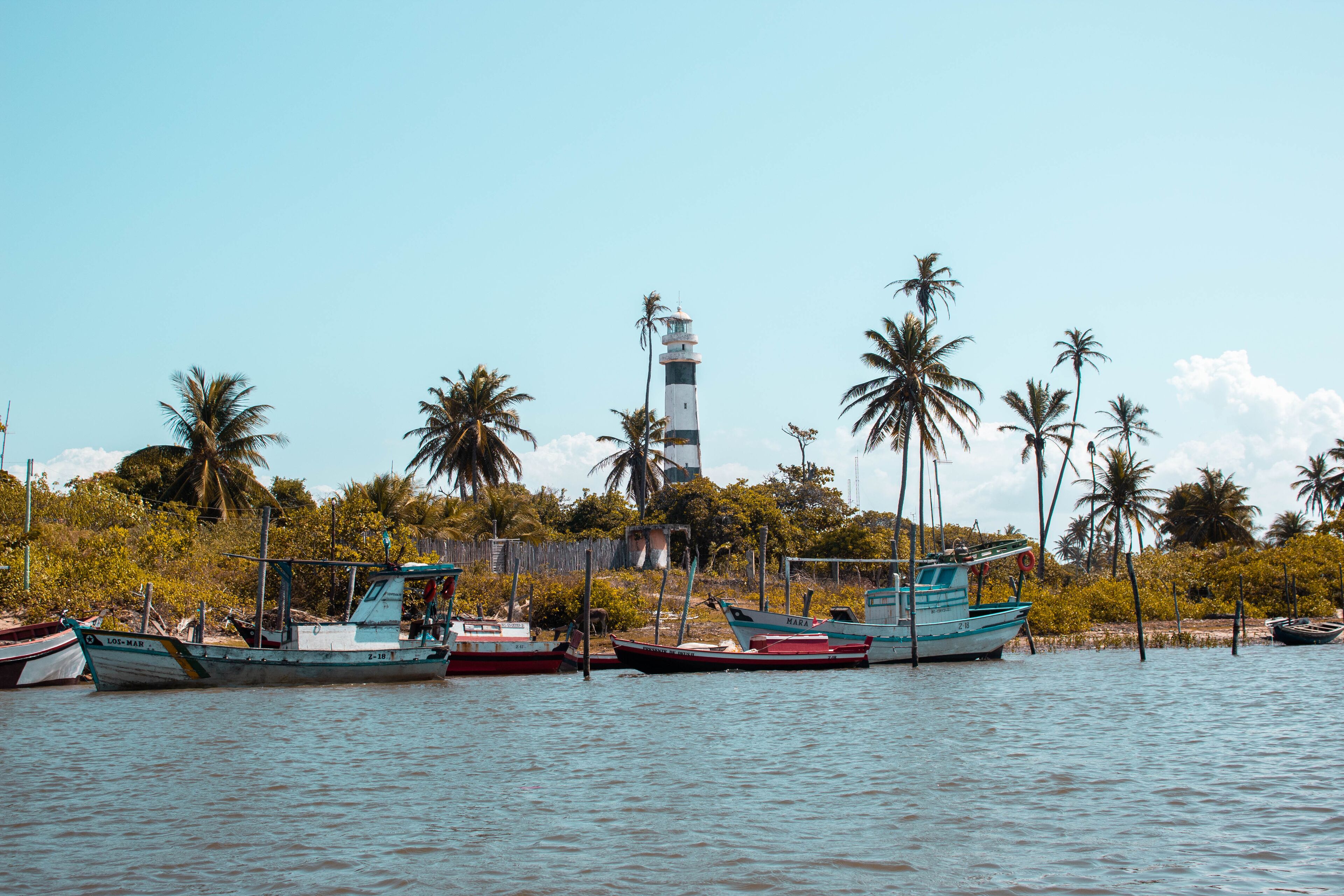 A calm harbor with several boats docked, surrounded by palm trees and a lighthouse in the background.