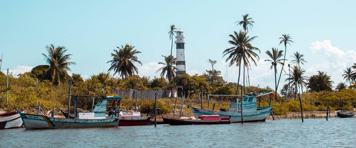 A calm harbor with several boats docked, surrounded by palm trees and a lighthouse in the background.