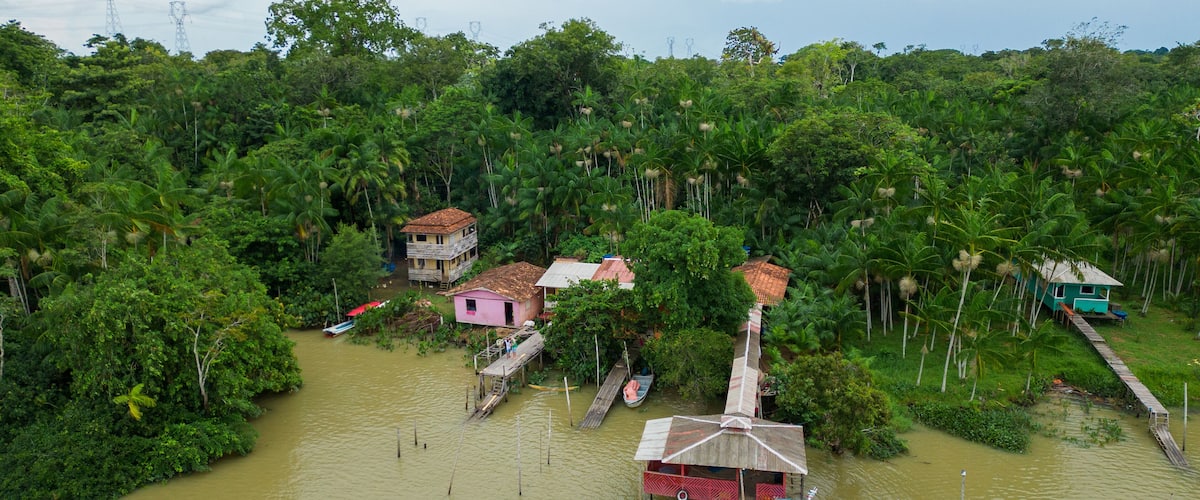 A riverine settlement with houses and boats amidst dense tropical vegetation.