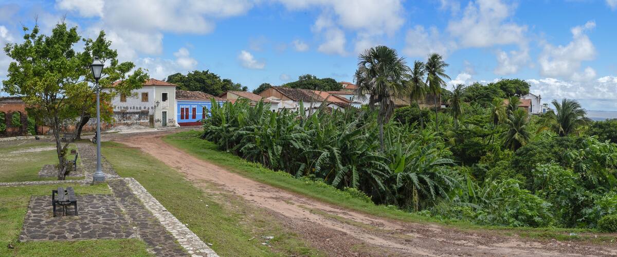 A coastal village with a dirt road, palm trees, and houses with red roofs.