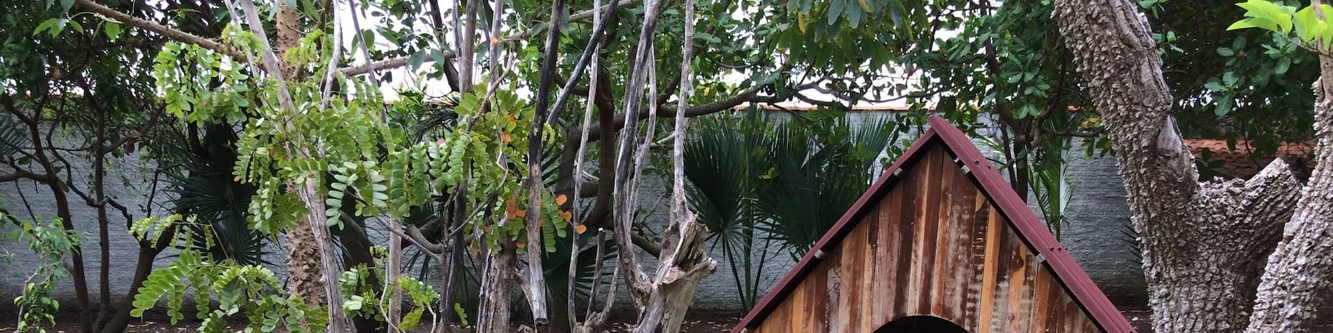 "A nest for a bird.... another for you đ"