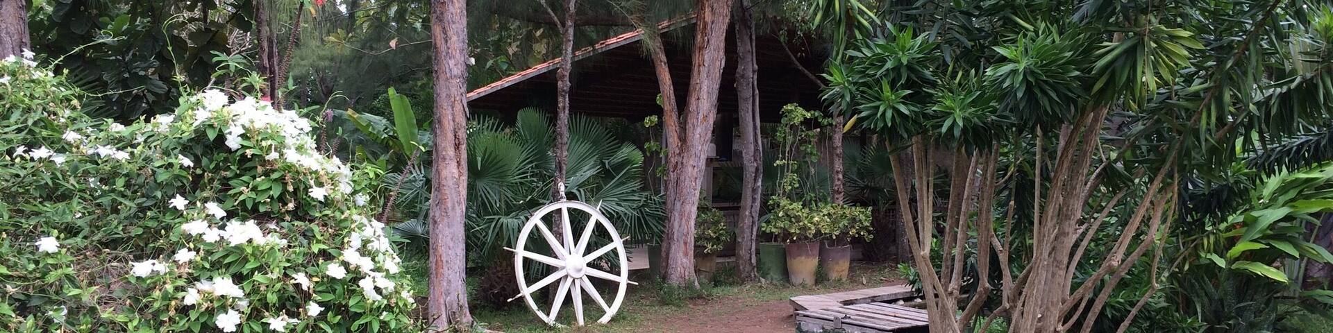 Free birds in a beautiful garden turns into a great place to relax