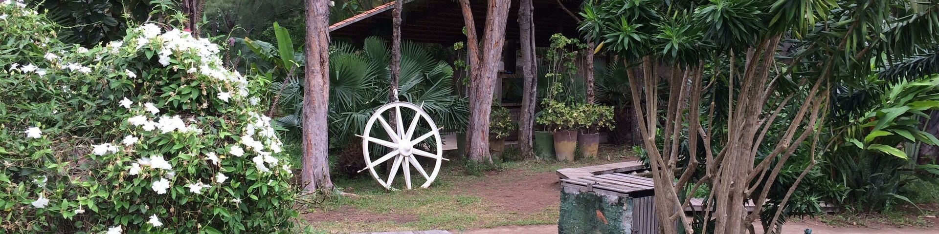 Free birds in a beautiful garden turns into a great place to relax