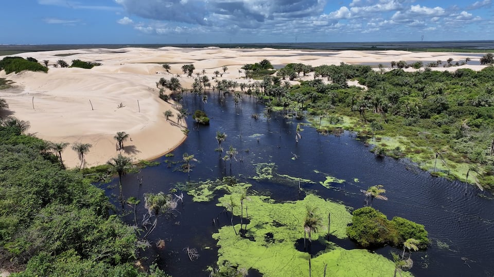 A river meandering through a desert landscape with sand dunes and sparse vegetation.