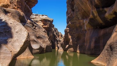 The only way to explore this narrow gorge is on a three hour tour, which takes you on a boat trip through the gorge and a short walk up the escarpment.
Our guide was extremely knowledgeable about the area and the Savannah Gulf and so passionate about it. It was easy to fall in love with it too.