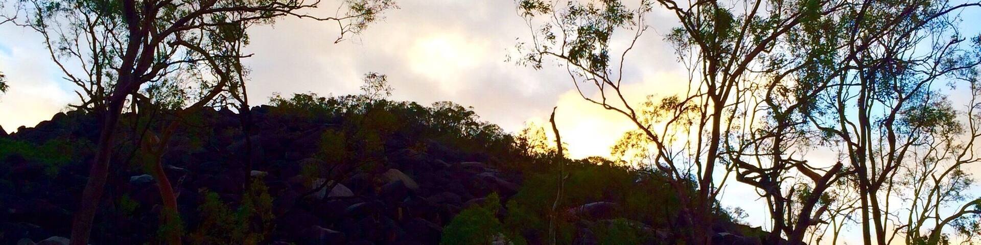 Black Mountain National Park lies about 25 kilometres southwest of Cooktown in #FarNorthQueensland, #Australia.
The park is significant for its granite boulders formed from magma 250 million years ago and also the cultural landscape to Australian Aboriginals, known as 'place of spear'.
This picture was taken in the fading light of day with my trusty iPhone5s.
Black Mountain #NationalPark
#goldenhour