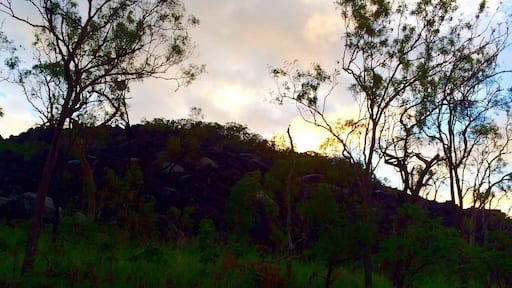 Black Mountain National Park lies about 25 kilometres southwest of Cooktown in #FarNorthQueensland, #Australia.
The park is significant for its granite boulders formed from magma 250 million years ago and also the cultural landscape to Australian Aboriginals, known as 'place of spear'.
This picture was taken in the fading light of day with my trusty iPhone5s.
Black Mountain #NationalPark
#goldenhour