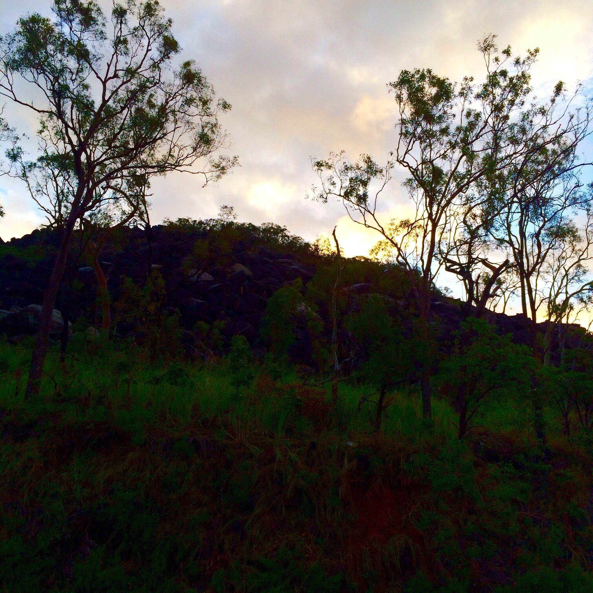 A rocky hillside with sparse trees and a cloudy sky.