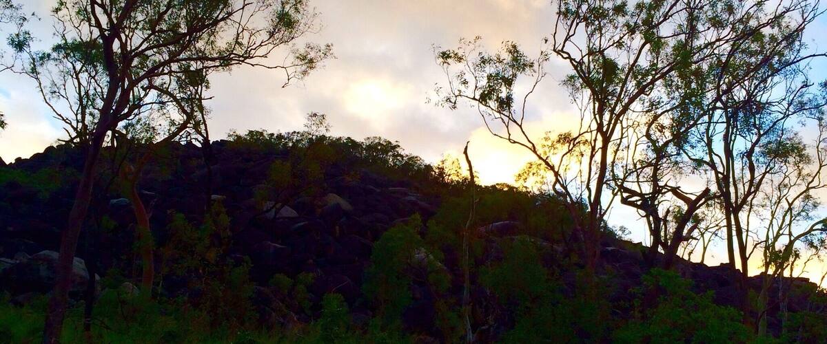 A rocky hillside with sparse trees and a cloudy sky.