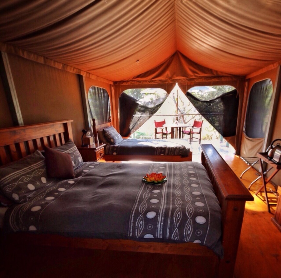Jabiru Safari Lodge is a great way to experience the outback and remote part of tropical North Queensland. From here you can see all sorts of Australian wildlife around the Mareeba Wetlands. It's such a peaceful little spot.