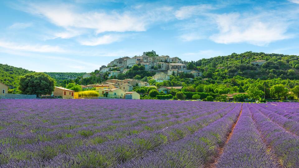 A lavender field, a hilltop castle, and a town with buildings.