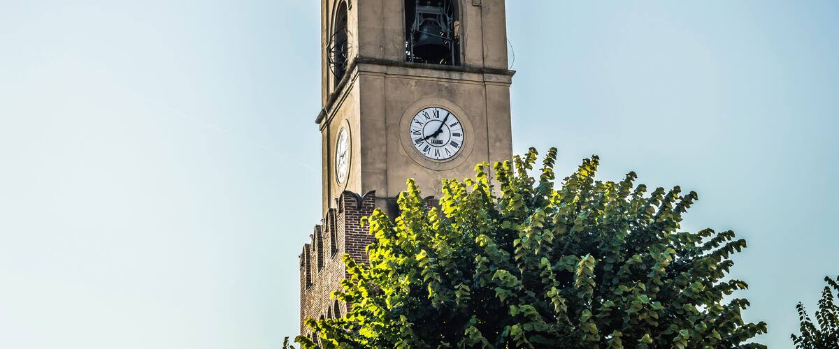 A clock tower with a weather vane on top, surrounded by trees.