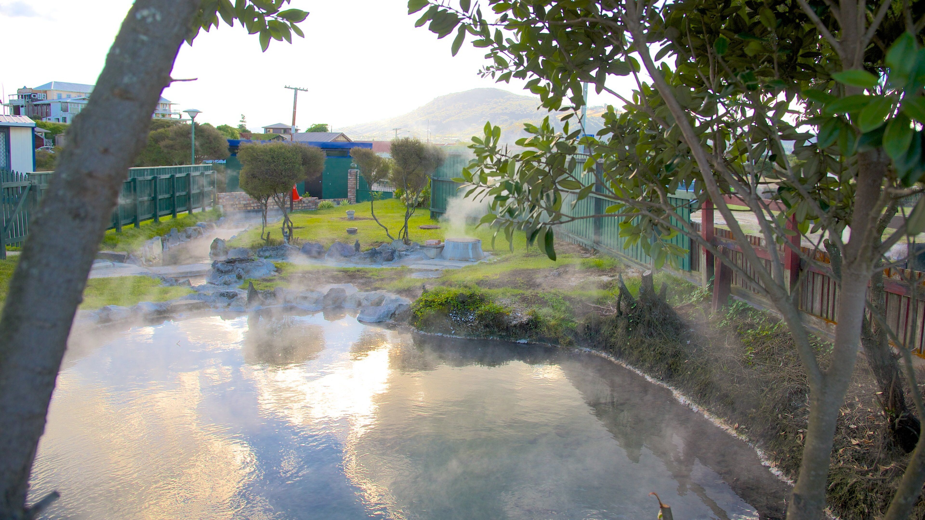 Rotorua mostrando uma fonte termal e um parque