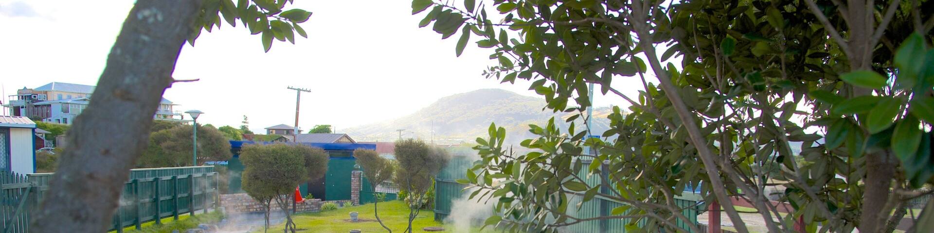 Rotorua featuring a park and a hot spring