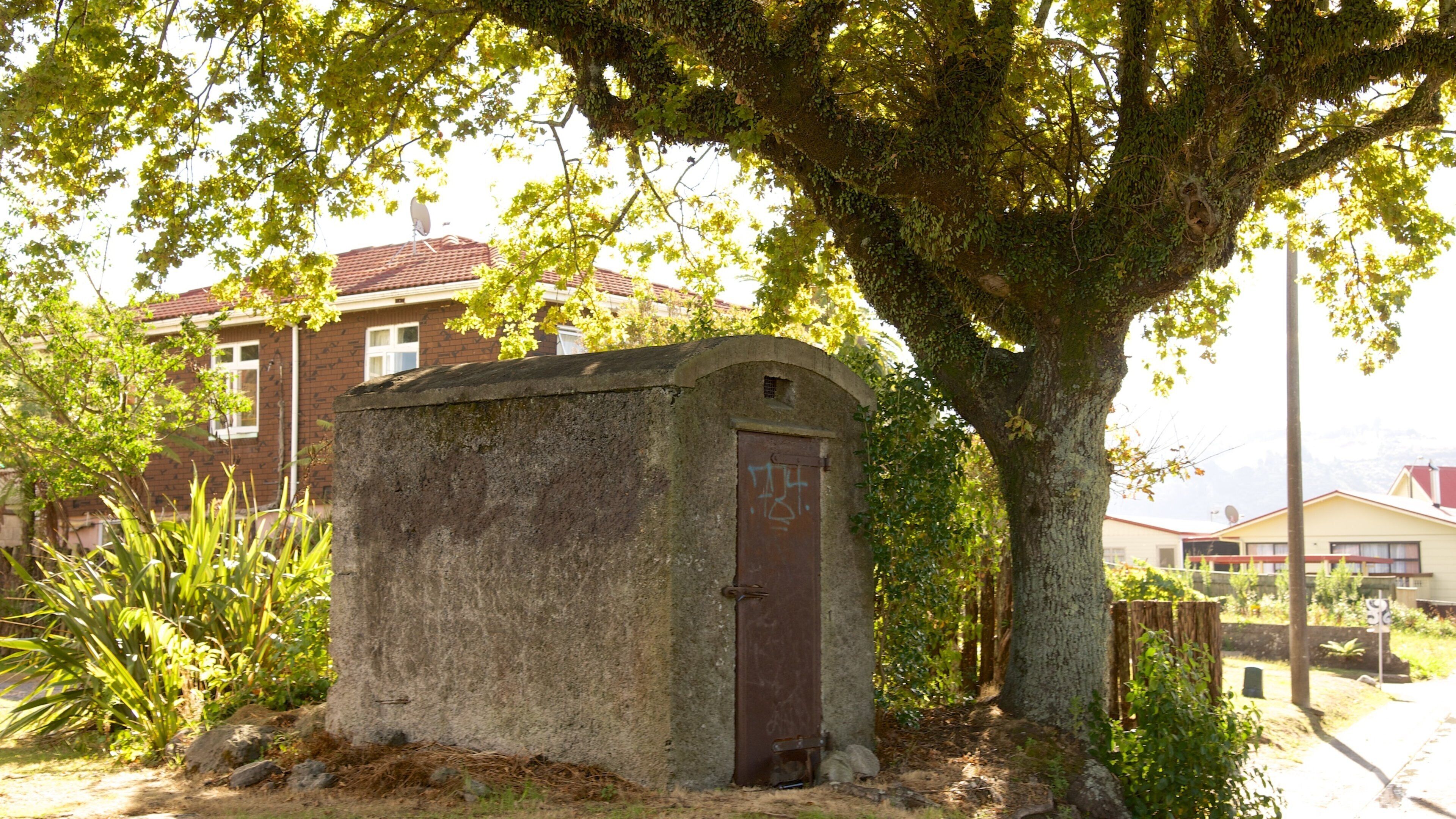 Rotorua mostrando um jardim