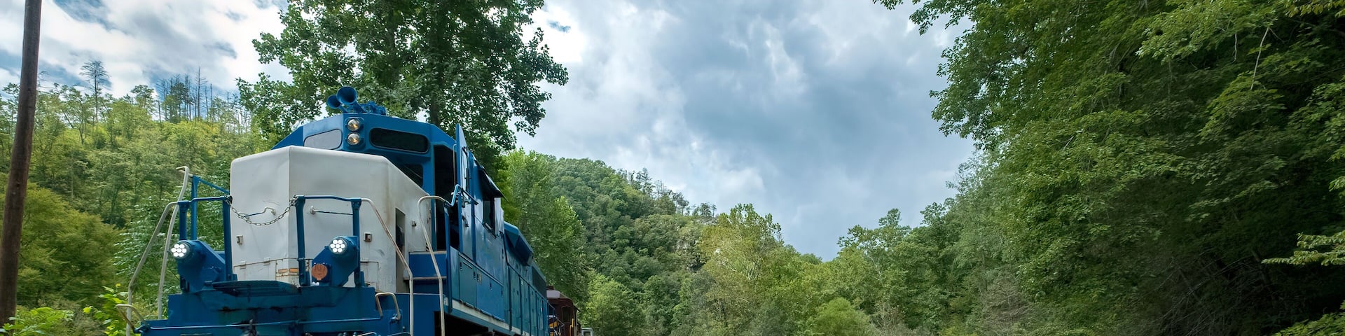 A blue train on a narrow track surrounded by dense forest and a calm river.