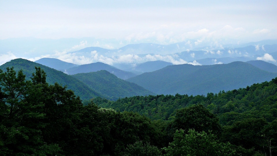 A mountainous landscape with dense forests and layered mountain ranges.