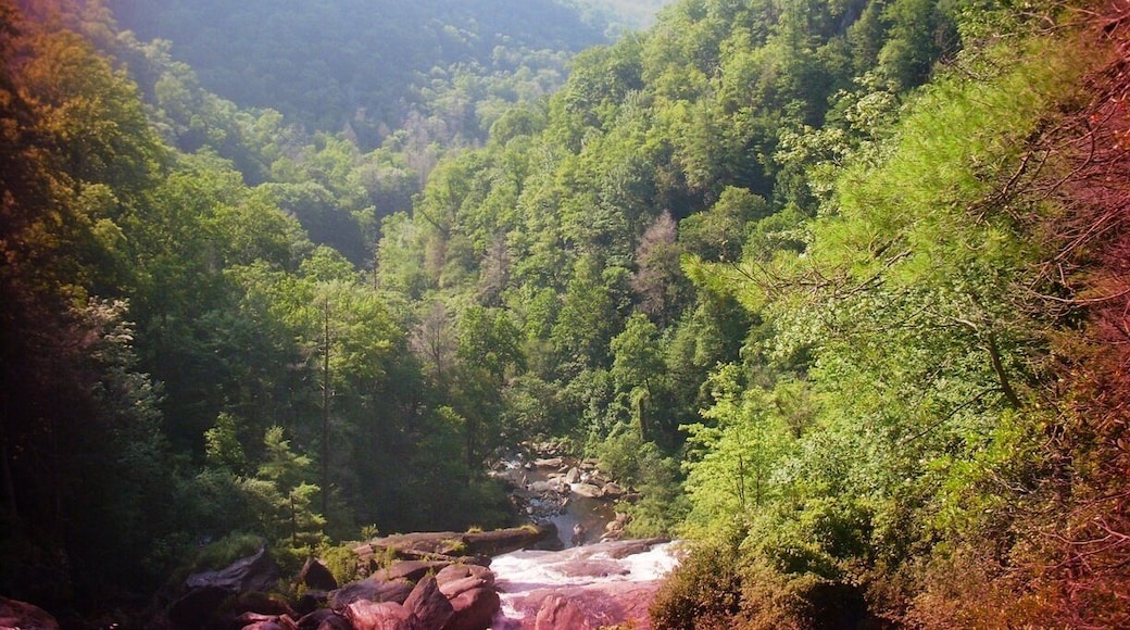 We took a hiking trip through Nantahala and did kayaking at the Nantahala Outdoor Center.