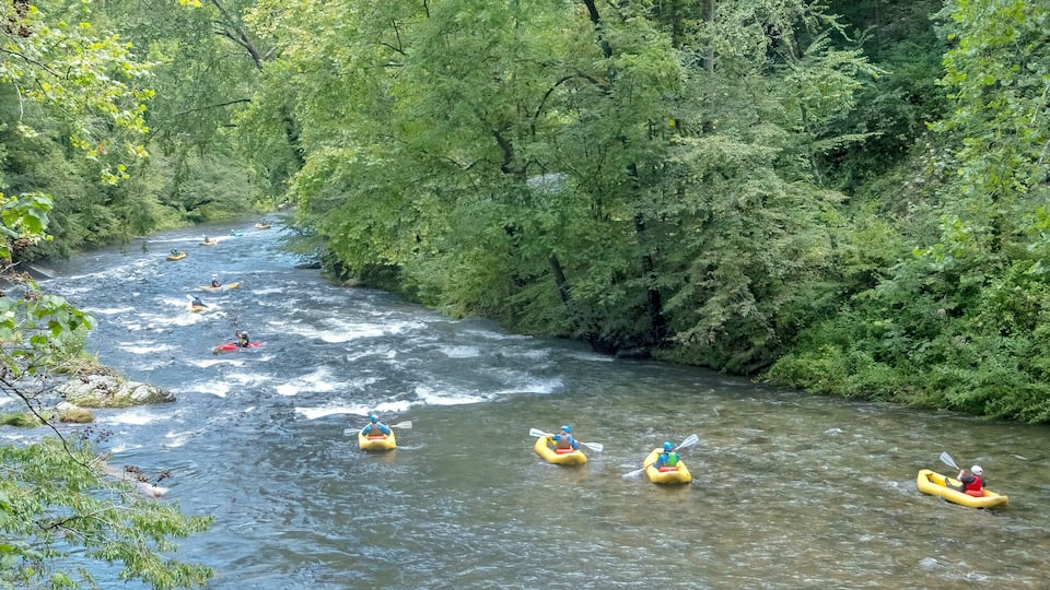A river with multiple kayaks navigating through a forested area.
