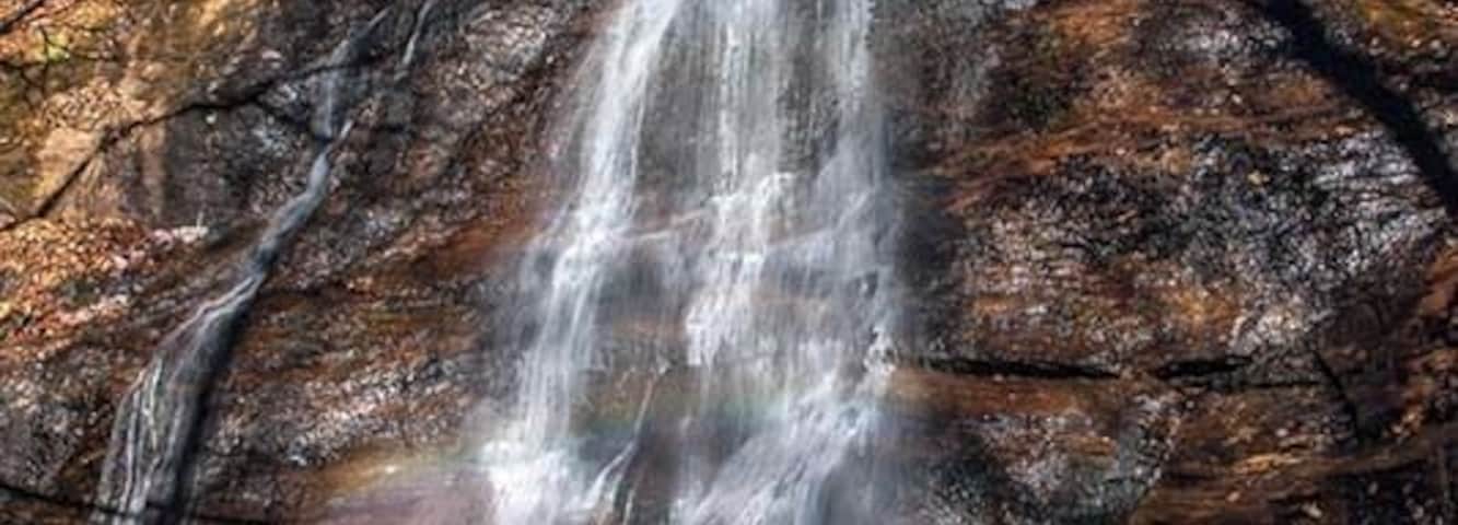 The remote Dill Falls of the Southern Pisgah National Forest. View a video guide of the falls here: https://www.hdcarolina.com/episode/dill-falls