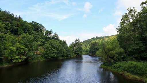 Tanasee Creek Lake in North Carolina during the Summer