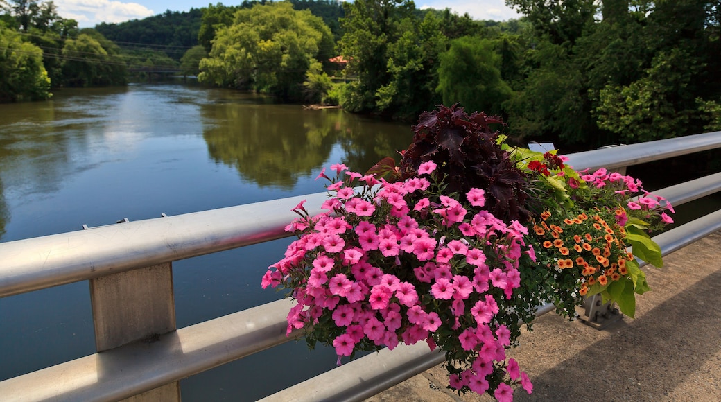Tuckasegee River at Bryson City