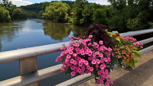Tuckasegee River at Bryson City
