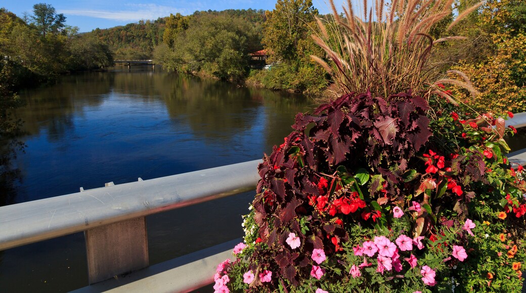 Tuckasegee River at Bryson City NC
