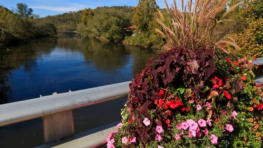 Tuckasegee River at Bryson City NC