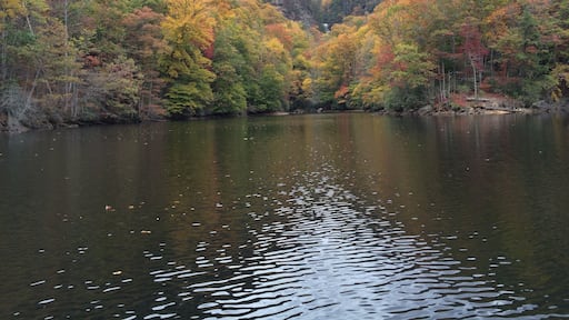 Bear Lake, in the Cashiers area of NC. Fall colors - and if you look very closely in the middle of the "V," you'll see a waterfall.