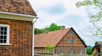 Multiple vintage timber frame and brick buildings in a small town