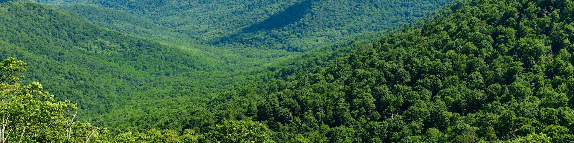 Shenandoah National Park - Virginia