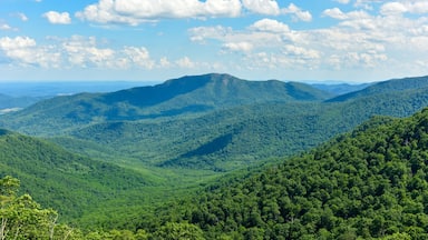 Paisagem montanhosa com florestas verdes densas e céu azul claro com nuvens dispersas.