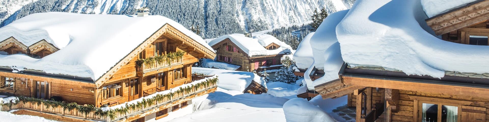 アルプ デュ ノール 表示 雪 と 自然の風景