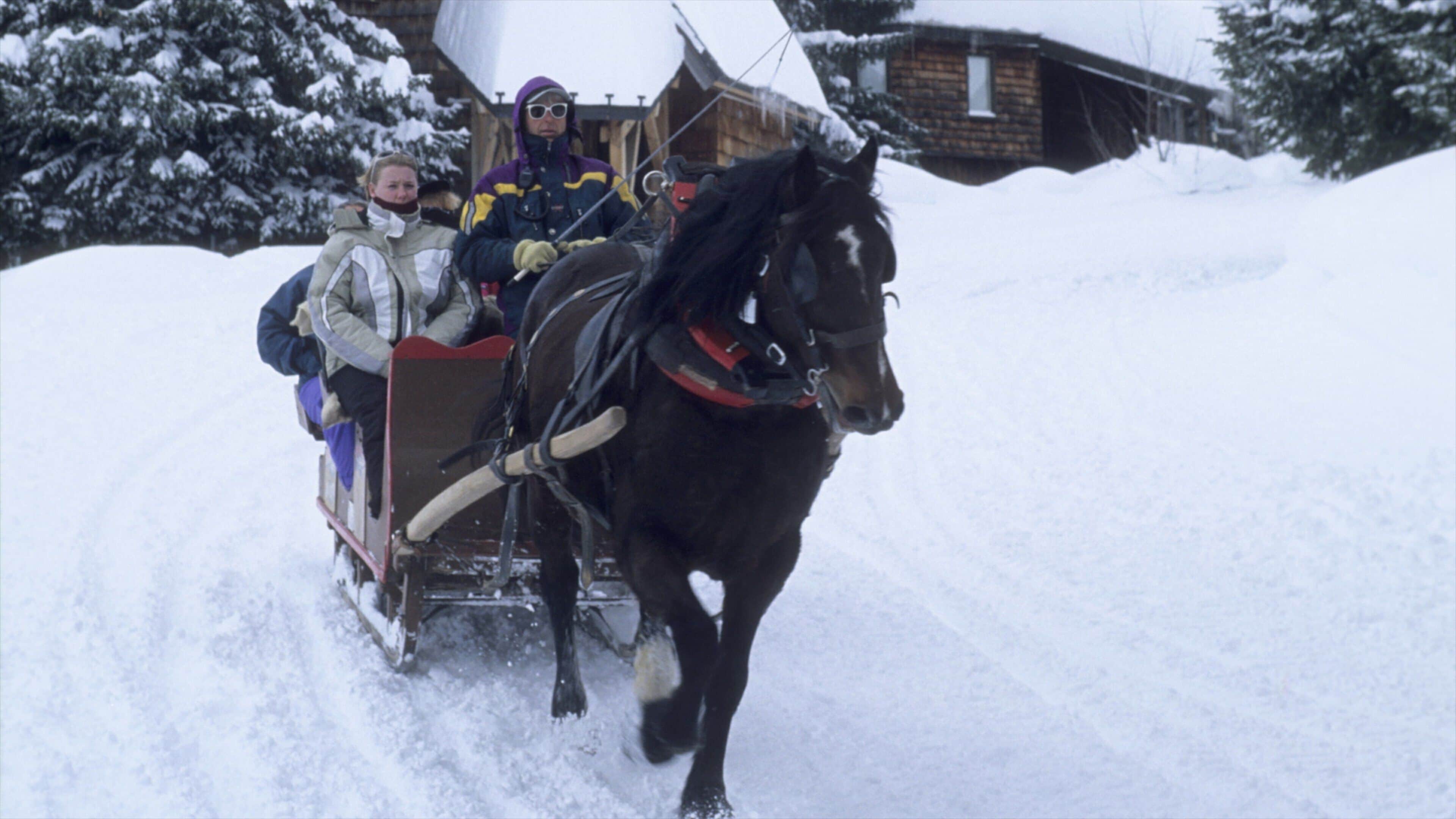 Morzine showing horseriding and snow