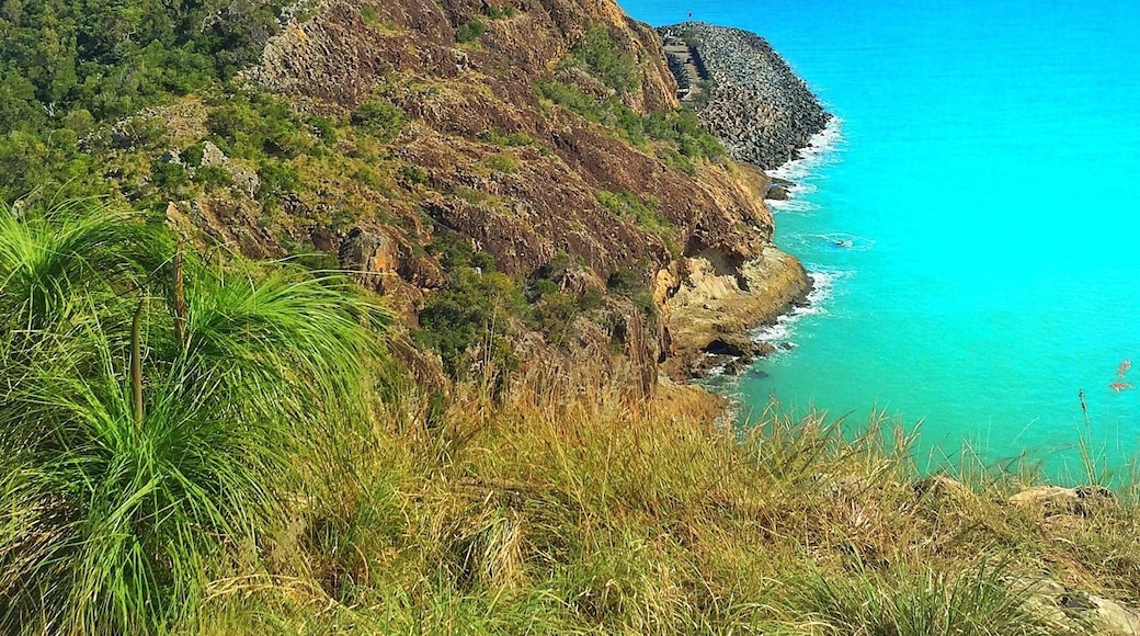 Epic views over Rosslyn Bay! 🗻☀️🌴🐠😀
#southerngreatbarrierreef #thisisqueensland #seeaustralia