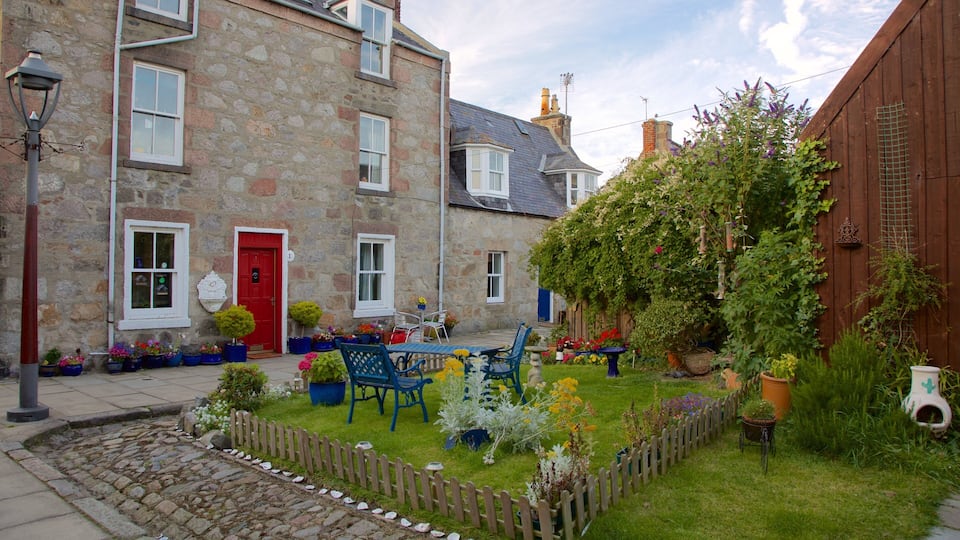 Aberdeen which includes street scenes and a garden