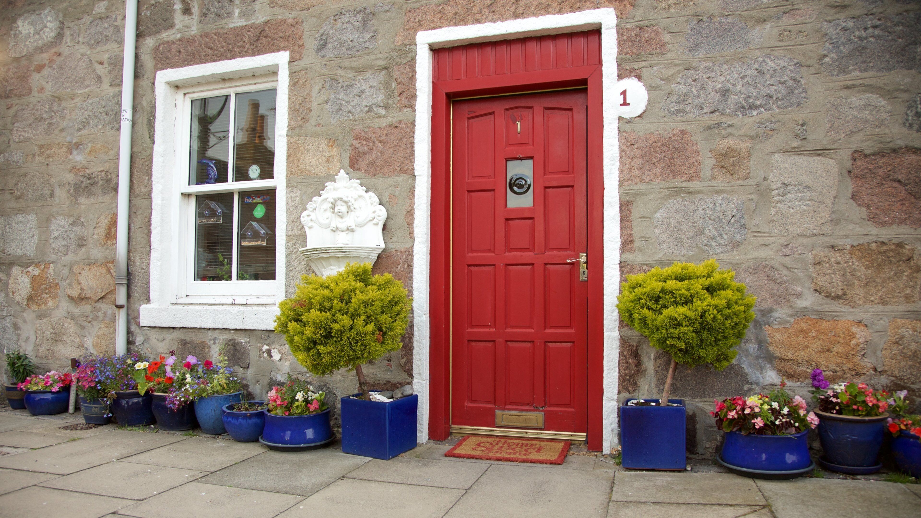 Aberdeen presenterar gatuliv