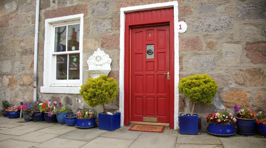 Aberdeen presenterar gatuliv